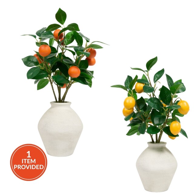 Potted Faux Citrus Tree - image 1