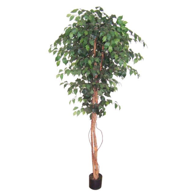 Green Artificial Ficus Liana Tree 183cm