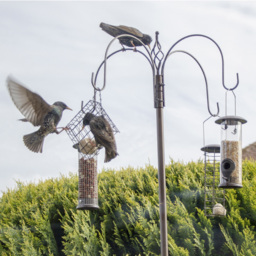 Gardenkraft Metal Bird Feeding Station - thumbnail 4