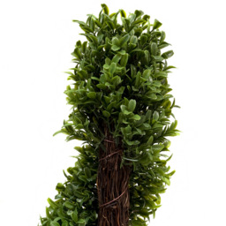 GreenBrokers Artificial Boxwood Spiral Trees 90cm 2 Pack - thumbnail 3