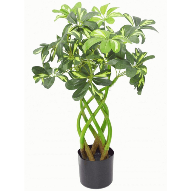 Leaf Artificial Twisted Stem Arboricola Bonsai Bush Plant in Pot 70cm - image 1
