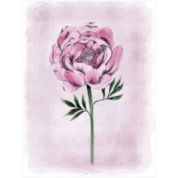 Laura Ashley Peony Floral Black Frame Wall Art 40 x 50cm - thumbnail 4