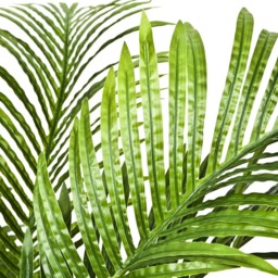 GreenBrokers Artificial Phoenix Palm Tree 94cm - thumbnail 3
