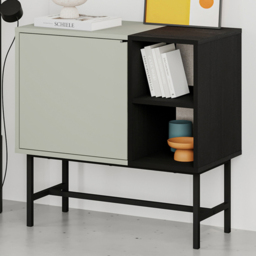 Decortie Mona Ash Green and Black Wood Single Door 2 Shelf Mini Console Table