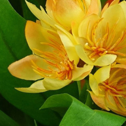 Leaf Artificial Assorted Colour Freesia Flowering Plant in Pot 18cm 3 Pack - thumbnail 3