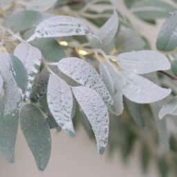 LED Eucalyptus Artificial Decorative Tree - thumbnail 4