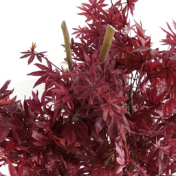 Leaf Red Maple Artificial Tree 120cm - thumbnail 2