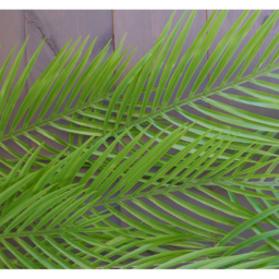 Leaf Palm Hanging Artificial Plant 4ft 12 Pack - thumbnail 4