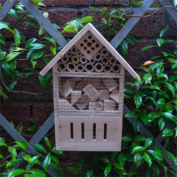 St Helens Wooden Insect House - thumbnail 3