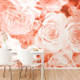 Origin Murals Petals Orange Wall Mural