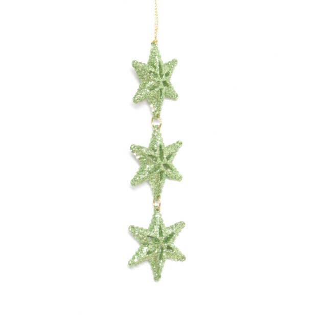 Mistletoe Cottage Green Fern Glitter Star Hanging Decoration - image 1