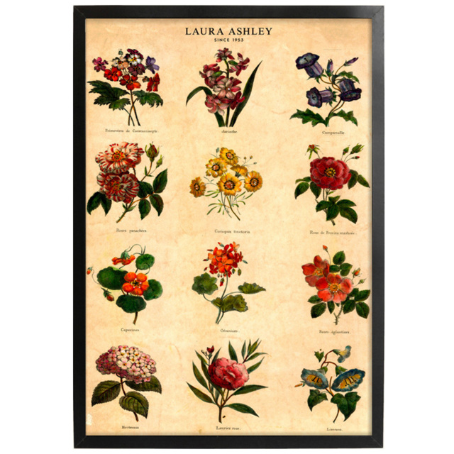 Laura Ashley Botanical Flowers Black Frame Wall Art 50 x 70cm - image 1