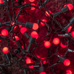 Samuel Alexander 300 Red Multi-Action LED Berry Christmas String Light