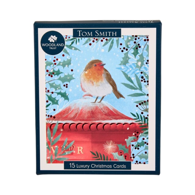 Pack of 15 Christmas Robin Cards - image 1