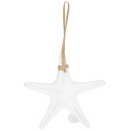 Hanging Starfish White