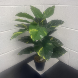 Leaf Artificial Devils Ivy Scindapsus Aureus Plant in Pot 60cm - thumbnail 2