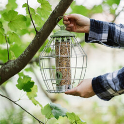 PK Canto Squirrel Proof Seed Feeder - thumbnail 3