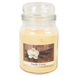 Vanilla Orchid Mason Jar Candle - Cream