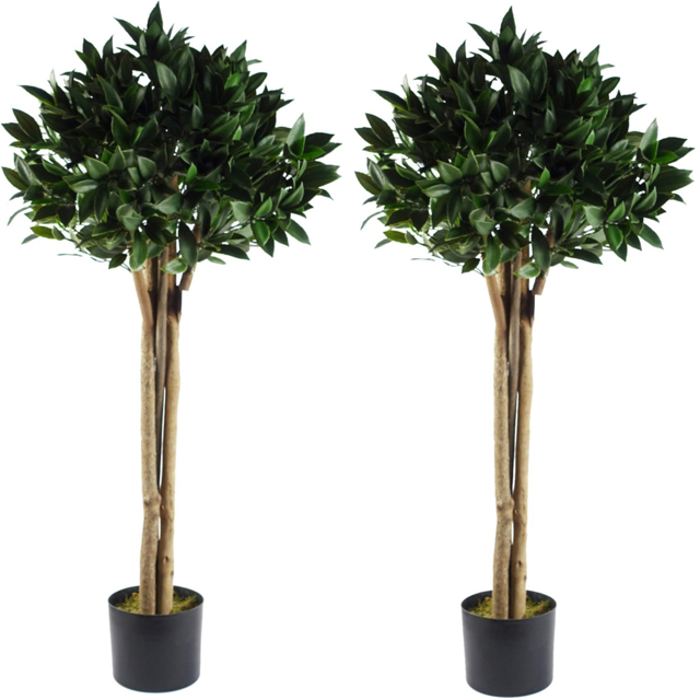 Leaf Bay Laurel Tree Pot 120cm 2 Pack