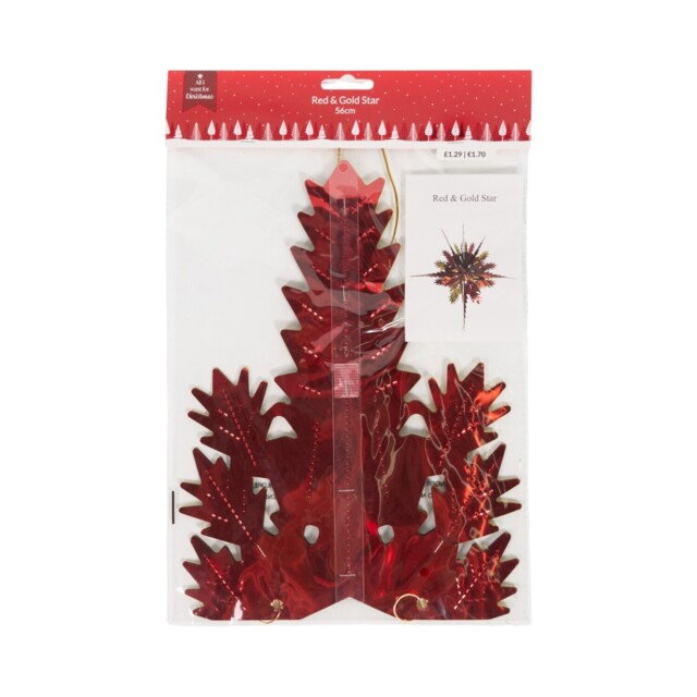 Single All I Want for Christmas Red and Gold Star Decoration in Assorted Styles - image 1