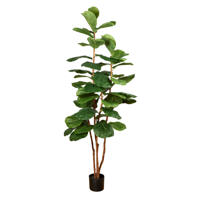 Green Fiddle Artificial Plant in White Pot 183cm - image 1