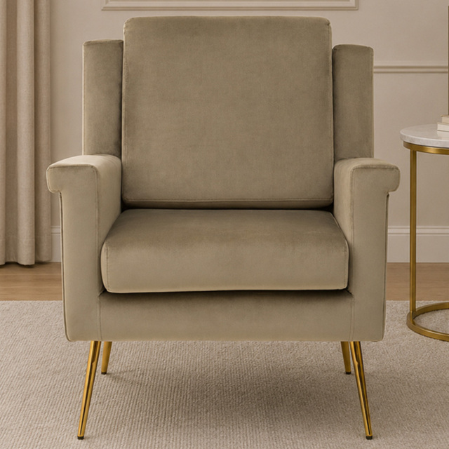 Premier Housewares Salma Mink Velvet Armchair - image 1
