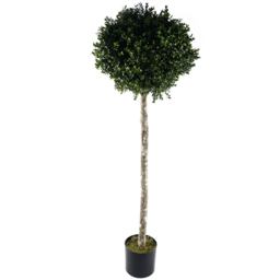 Botanik Outdoor Topiary Buxus Ball Artificial Tree in Pot 140cm - thumbnail 1