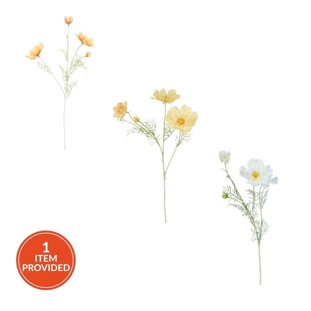 Large Cosmos Bloom - image 1