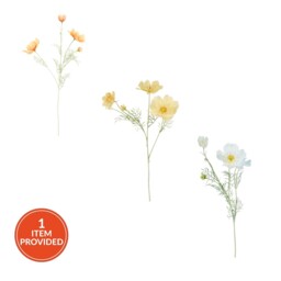 Large Cosmos Bloom - thumbnail 1