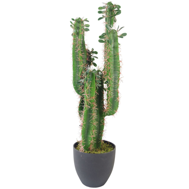 Leaf Artificial Cactus Cacti Plant in Pot 65cm - image 1