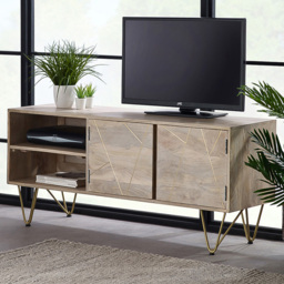Brooklyn Huyen 2 Door 2 Shelf Light Gold Plasma TV Unit