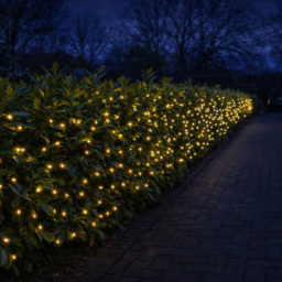 Lighting Legends Festive Connect Warm White Net Outdoor Light 2 x 1m - thumbnail 3