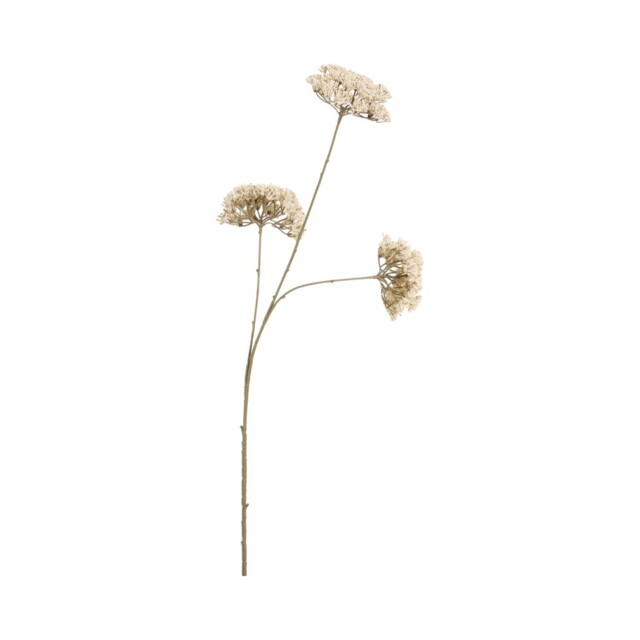 Queen Annes Lace Stem 86cm White - image 1