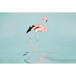 A.S Creation Flamingo Water Digital - thumbnail 2