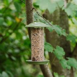 Peckish Canto Seed Feeder - thumbnail 2