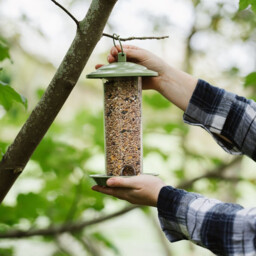 Peckish Canto Seed Feeder - thumbnail 3
