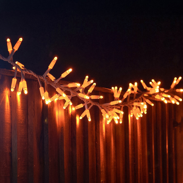Eagle Connect 250 Gold LED White Cluster Light 5m - image 1