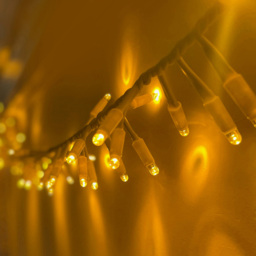 Eagle Connect 250 Gold LED White Cluster Light 5m - thumbnail 4