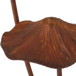 Rust Mushroom - thumbnail 4