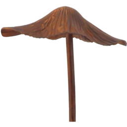 Rust Mushroom - thumbnail 3