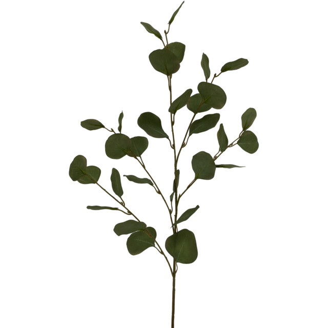 Green Artificial Single Stem Eucalyptus Branch