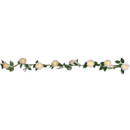 Rose Garland 16 LED Warm White String Light