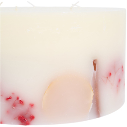 Single Sweet Cinnamon Winter Spice Botanical XL Scented Candle in Assorted Styles - thumbnail 3