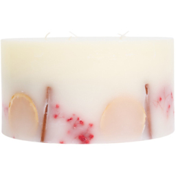 Single Sweet Cinnamon Winter Spice Botanical XL Scented Candle in Assorted Styles - thumbnail 1