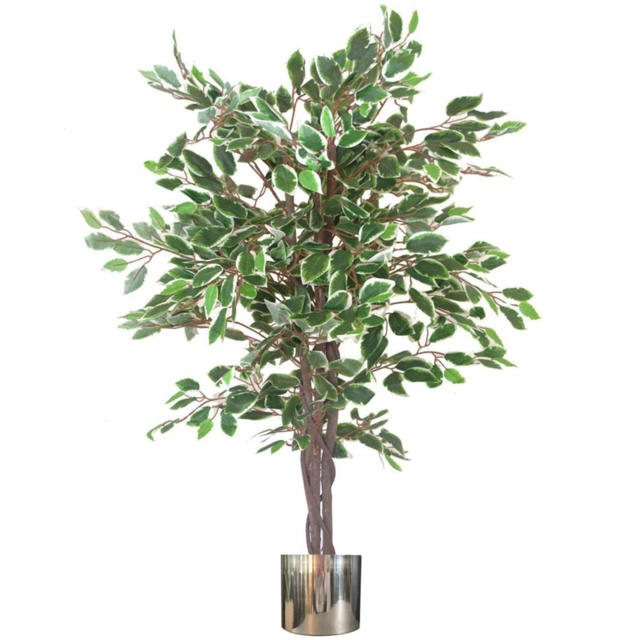 Leaf White Edge Twist Ficus Leaf Artificial Plant with Silver Metal Planter 130cm - image 1