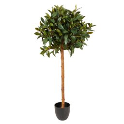 Green Topiary Style Single Trunk Bay Leaf Tree in Pot 122cm - thumbnail 1