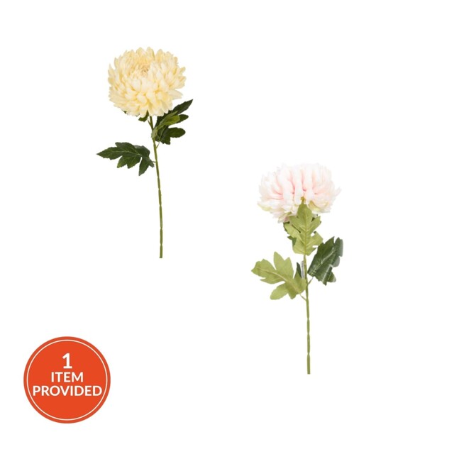Large Fuji Mum Pom Stem 70cm Asrt - image 1
