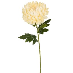 Large Fuji Mum Pom Stem 70cm Asrt - thumbnail 2
