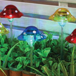 Pack of 10 Solar Mushroom Stake Light - thumbnail 3