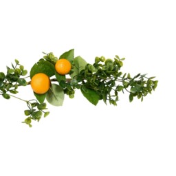 Orange Garland - thumbnail 3